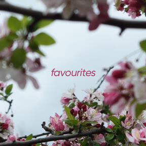 cover art for a spotify playlist