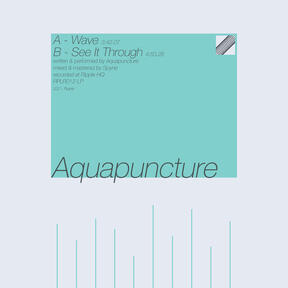 fictional album cover, back